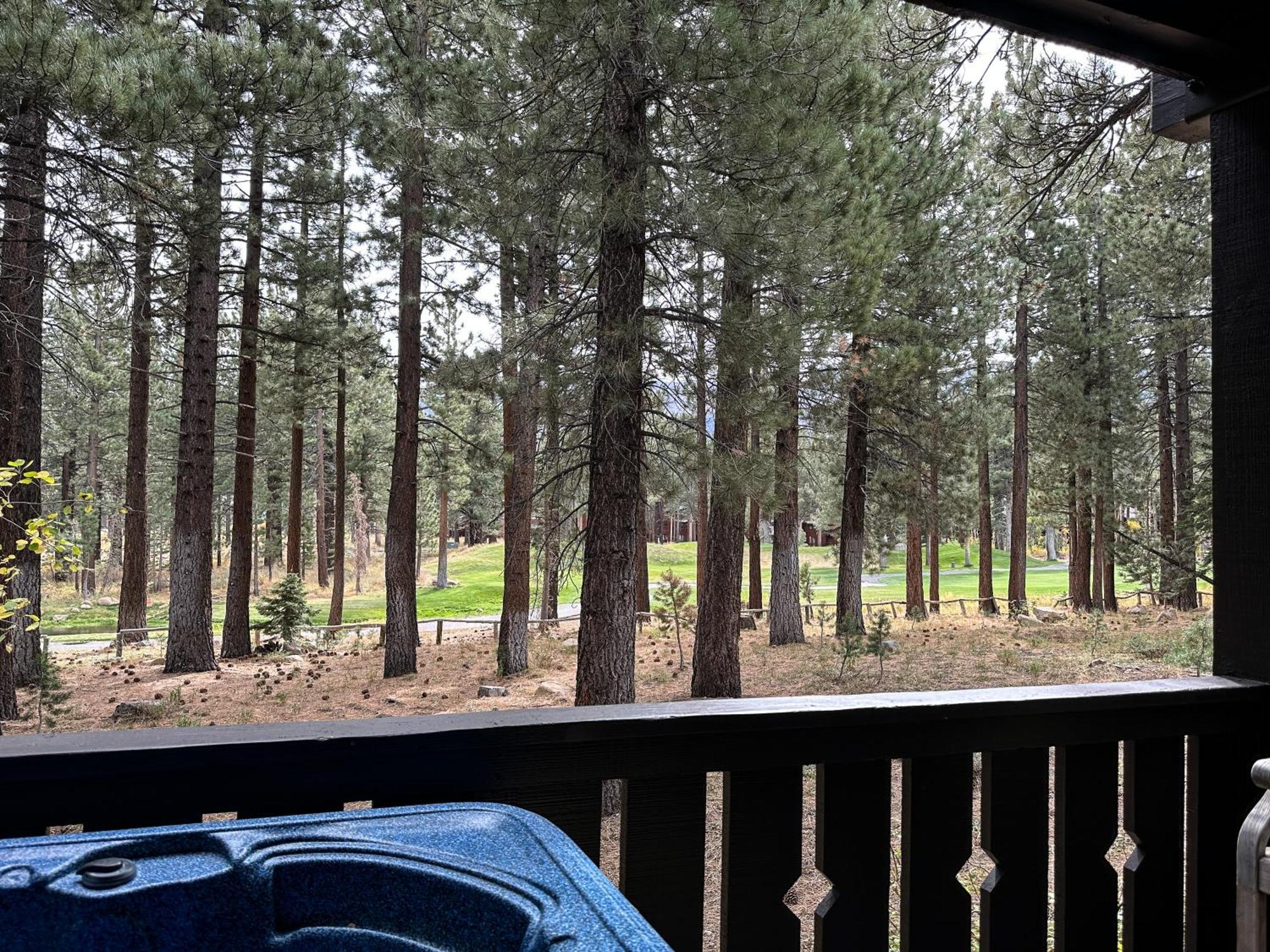 Timbers #6 Townhouse Holiday home Mammoth Lakes